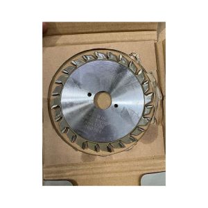 HAUPT AEROPLANE SAW BLADE 120*22*24T 2.8/3.6 MJ1132F (12+12) | MODEL: SBA-H12024T
