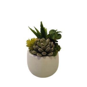 MULTIPLE AGAVE PLANTS WITH WHITE ROUND POT (RED) - TABLE SIZE [FAKE]