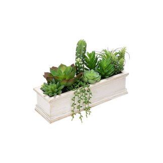 SUCCULENT PLANT WITH WOODEN POT - TABLE SIZE [FAKE]