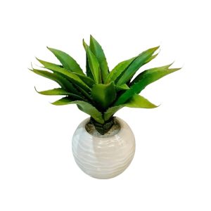AGAVE PLANT WITH WHITE ROUND POT - TABLE SIZE [FAKE]