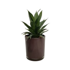 AGAVE CHIAPENSIS PLANT WITH BROWN POT - TABLE SIZE [FAKE]