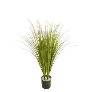 ALOPECURUS PRATENSIS PLANT 90CM [FAKE]