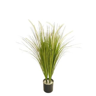 ALOPECURUS PRATENSIS PLANT 90CM [FAKE]