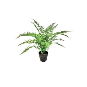 BOSTON FERNS WITH POT (SHORT LEAVES) [FAKE]