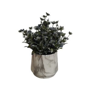 BROADLEAF STONECROP PLANT WITH DESIGN POT - TABLE SIZE [FAKE]