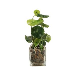 COPPER COIN PLANT - TABLE SIZE [FAKE]