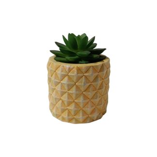 ECHEVERIA ELEGANS PLANT WITH YELLOW POT - TABLE SIZE [FAKE]