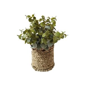 EUCALYPTUS PLANT WITH SCANDI POT - TABLE SIZE [FAKE]