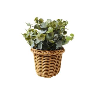 EUCALYPTUS PLANT WITH BASKET - TABLE SIZE [FAKE]