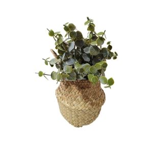 EUCALYPTUS PLANT WITH HANDLE BASKET - TABLE SIZE [FAKE]