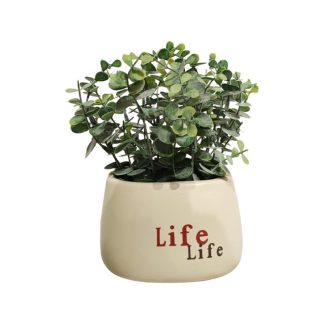 EUCALYPTUS PLANT WITH DESIGN POT - TABLE SIZE [FAKE]