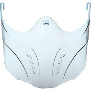 EVON SAFETY GOGGLE MASK V11 CLEAR
