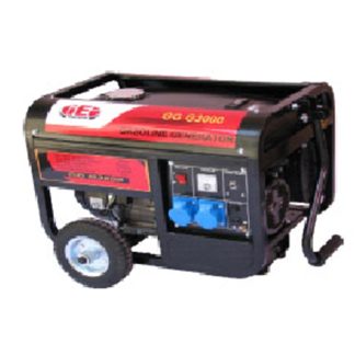 GEI GASOLINE GENERATOR GG G3000