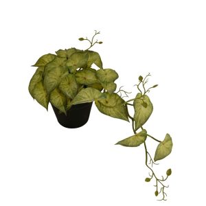 HANGING LEAVES (GREEN & YELLOW LEAVES) [FAKE]