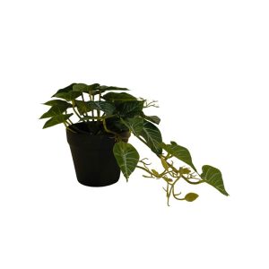HANGING LEAVES (GREEN WITH REALISTIC VEINS) [FAKE]