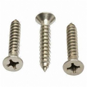 HORME ST SCREW CSK