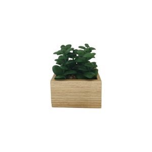 JADE PLANT WITH WOODEN POT - TABLE SIZE [FAKE]