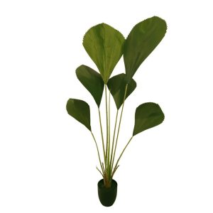 LICUALA GRANDIS PLANT (DESIGN 1) [FAKE]