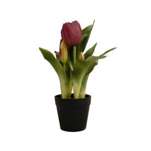MAROON TULIP PLANT WITH BLACK POT - TABLE SIZE [FAKE]