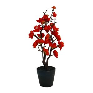 MAULE`S QUINCE PLANT WITH BLACK POT - TABLE SIZE [FAKE]