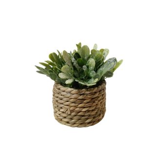 MICROPHYLLA PLANT WITH SCANDI POT (BUXUS) - TABLE SIZE [FAKE]