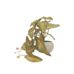 MINI HANGING LEAVES (CALADIUM) [FAKE]