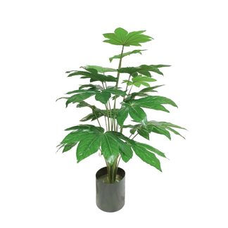 MONEY PLANT 0.7M (PACHIRA AQUATICA) [FAKE]