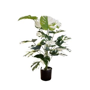 MONSTERA DELICIOSA 0.7M (WHITE/GREEN) [FAKE]