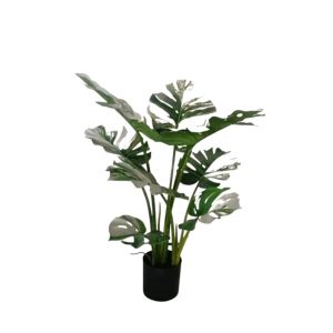 MONSTERA ALBO PLANT [FAKE]