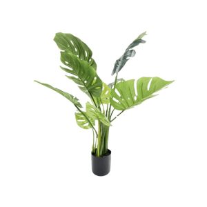 MONSTERA PLANT [FAKE]