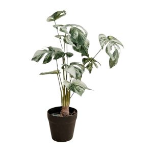 MONSTERA ALBO - WHITE (SMALL) [FAKE]