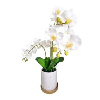ORCHID PLANT (WHITE) [FAKE]