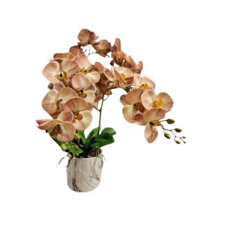 ORCHID PLANT (MILK TEA) [FAKE]