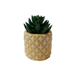 PACHYPHYTUM PLANT WITH YELLOW POT - TABLE SIZE [FAKE]