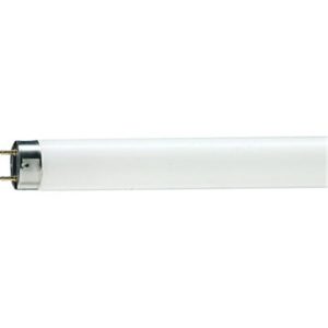 PHILIPS FLUO TUBE 18W TLD18W54