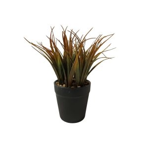 PHORMIUM TENAX PLANT WITH BLACK POT - TABLE SIZE [FAKE]