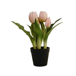 PINK TULIP PLANT WITH BLACK POT - TABLE SIZE [FAKE]