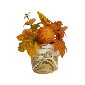 PUMPKIN PLANT WITH SCANDI POT - TABLE SIZE [FAKE]