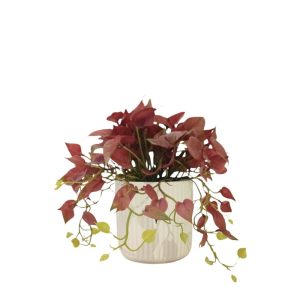 RED DISCHIDIA PLANT WITH WHITE POT (TABLE SIZE) [FAKE]