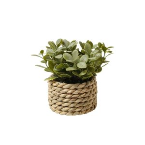 SEMPERVIRENS PLANT WITH SCANDI POT (BUXUS) - TABLE SIZE [FAKE]