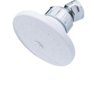 SHOWY SHOWER ROSE ONLY- 2579P