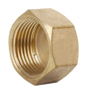 SHOWY FEMALE SCREW CAP 1/2" 5196
