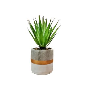 SISAL PLANT WITH DESIGN POT (TABLE SIZE) [FAKE]
