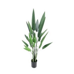 SKY BIRD PLANT [FAKE]