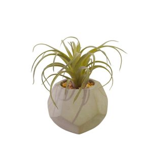 SKY PLANT WITH GREY POT - TABLE SIZE [FAKE]