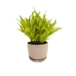 SWORD FERN WITH WHITE POT - TABLE SIZE [FAKE]