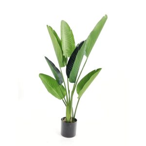 TRAVELLERS PALM TREE [FAKE]