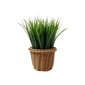 WHEATGRASS PLANT WITH BASKET - TABLE SIZE [FAKE]