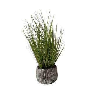 WHEATGRASS PLANT WITH DESIGN POT - TABLE SIZE [FAKE]