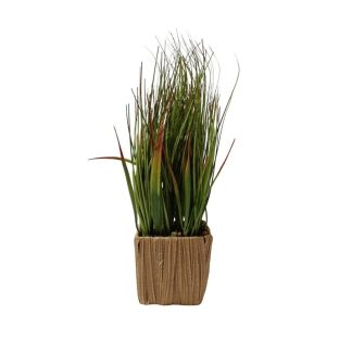WHEATGRASS PLANT WITH SQUARE POT (RED BARON) - TABLE SIZE [FAKE]